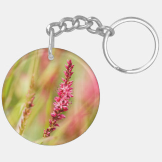 colorbush keychain