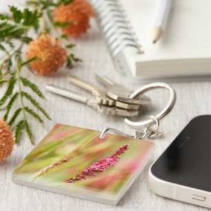 colorbush keychain