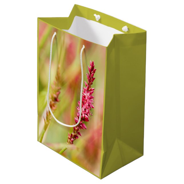 colorbush medium gift bag (Front Angled)