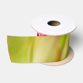 colorbush satin ribbon