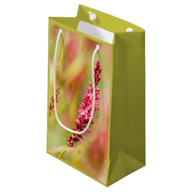 colorbush small gift bag (Front Angled)