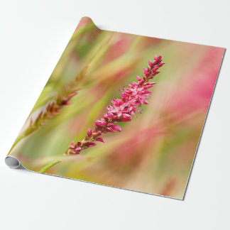 colorbush wrapping paper