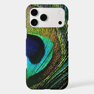 Coloré Exotique Peacock Feather Modern Photographi