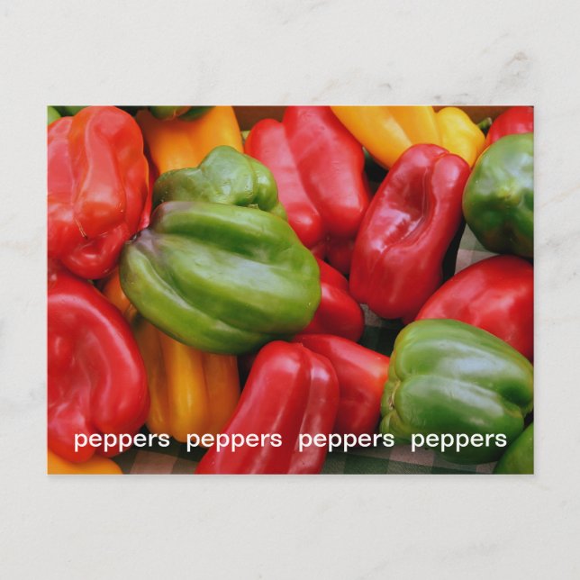 COLORED BELLS POSTCARD (Front)