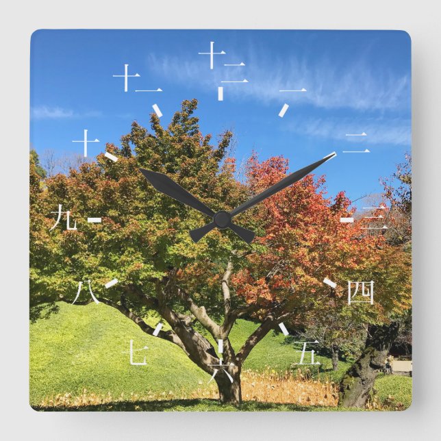 Colored Maple Tree in Autumn Square Wall Clock (Front)
