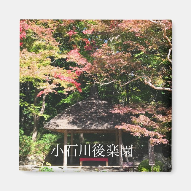 Colored Maple Trees and Rest House Magnet (Front)