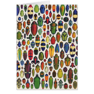 Colorée Vintage illustrée de coléoptères