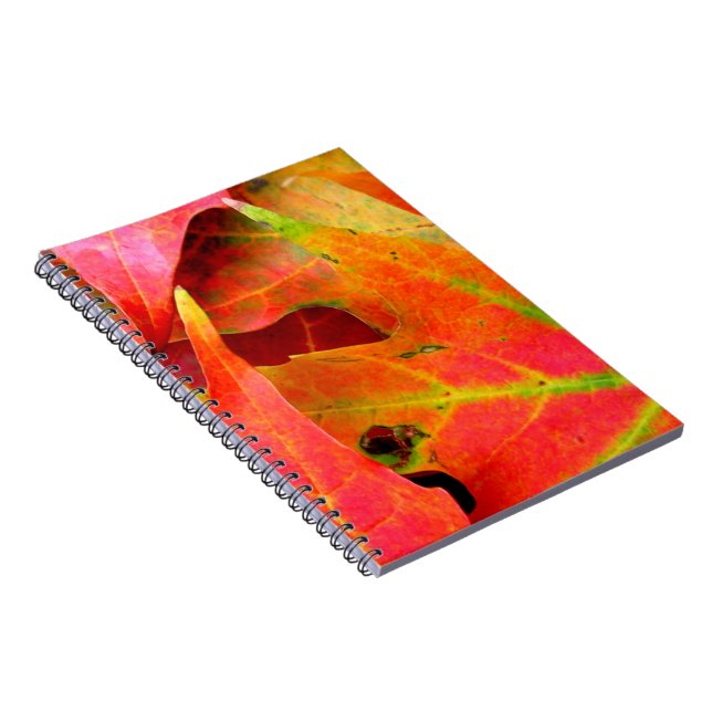 Colorful Autumn Leaves CloseUp Notebook (Right Side)
