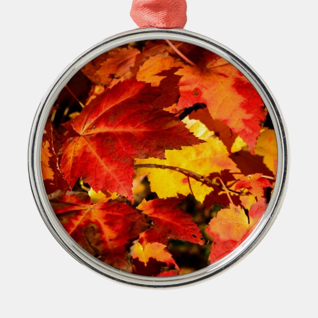 Colorful Autumn leaves orange red yellow colors Metal Ornament (Front)