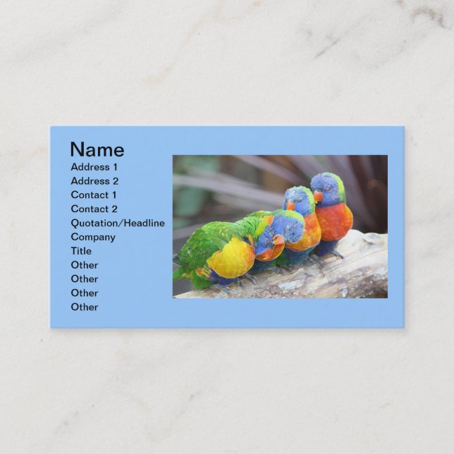 COLORFUL BIRDS BUSINESS CARD (Front)