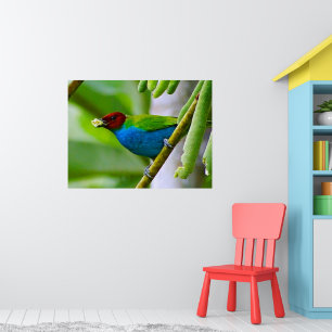 Colorful Blend Poster