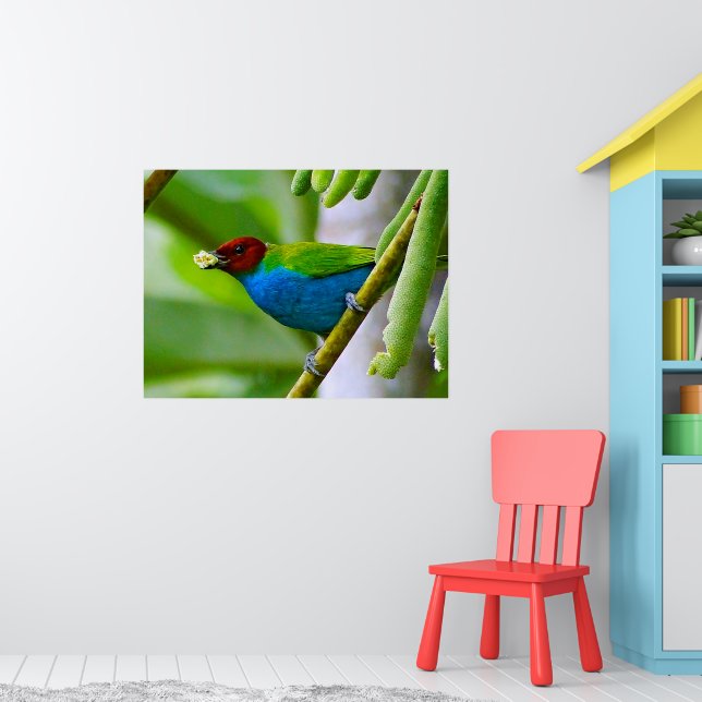 Colorful Blend Poster (Nursery 1)