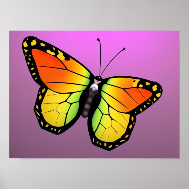 Colorful butterfly poster (Front)