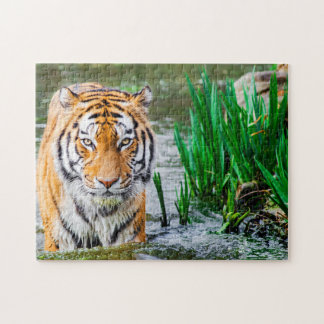 colorful cat Tiger Puzzle