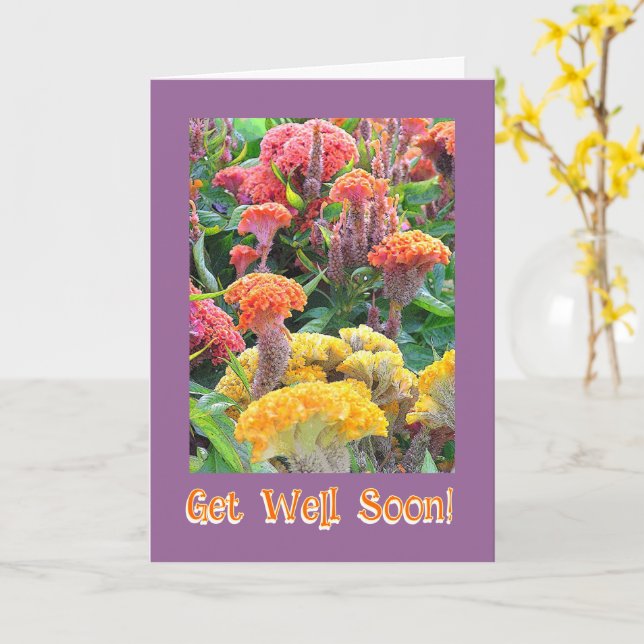 COLORFUL CELOSIA  GARDEN/ GET WELL/CUSTOMIZABLE TE CARD (Yellow Flower)