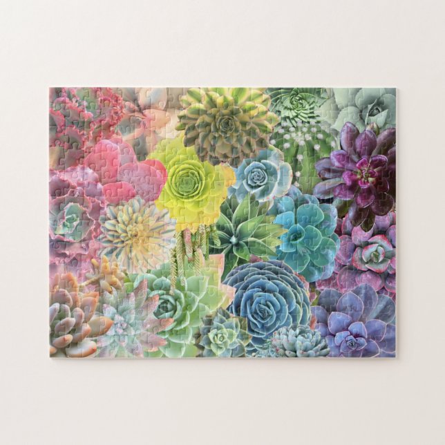 Colorful Cheerful Rainbow Succulent Puzzle (Horizontal)
