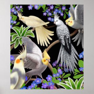 Colorful Cockatiels Poster