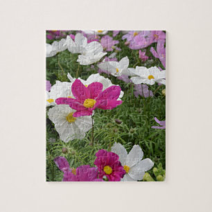 Colorful cosmos flower garden jigsaw puzzle