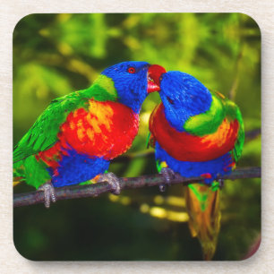 Colorful Couple of Kissing Parrots Coaster
