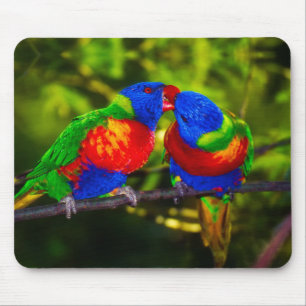 Colorful Couple of Kissing Parrots Mouse Pad