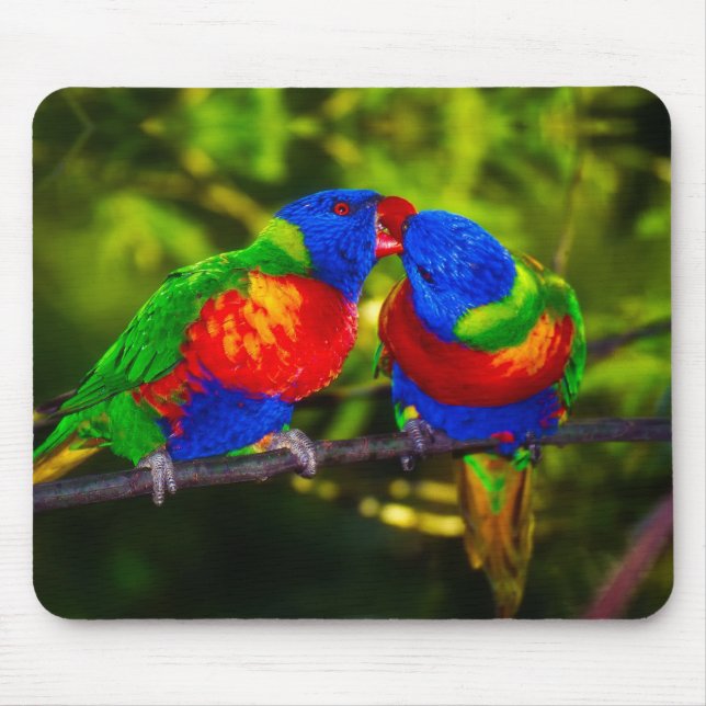 Colorful Couple of Kissing Parrots Mouse Pad (Front)