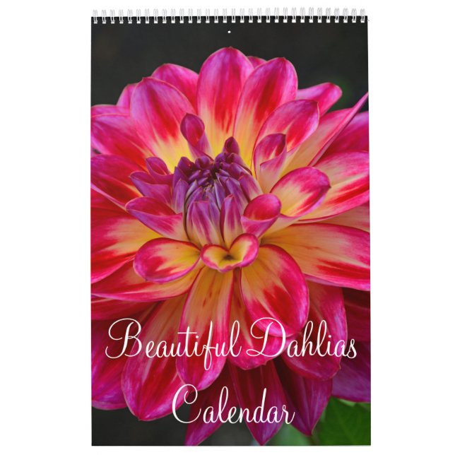 Colorful dahlia flowers calendar (Cover)