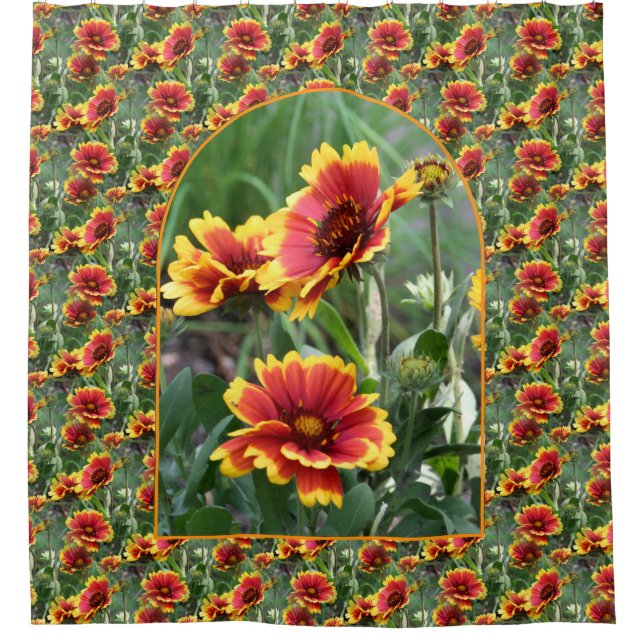 Colorful Daisies Flower Pattern Nature  (Front)