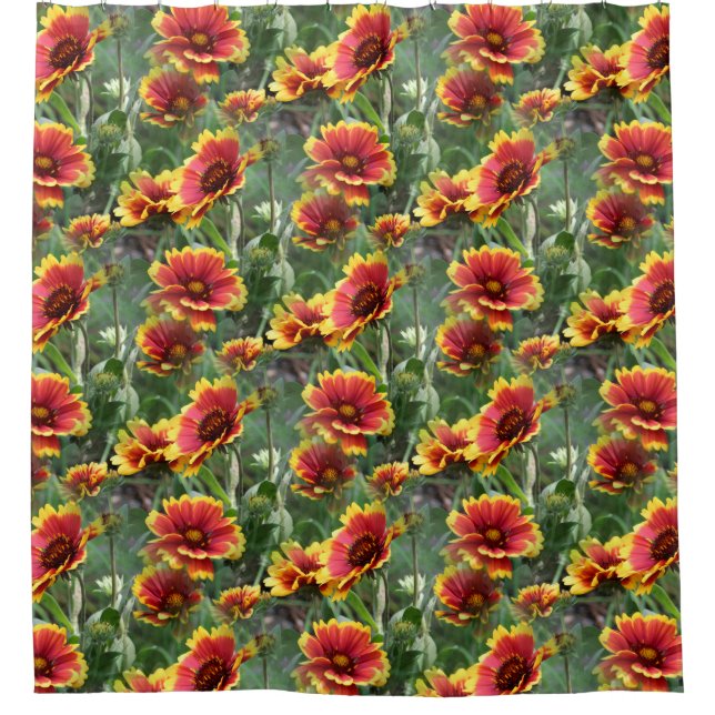Colorful Daisy Flowers Nature Pattern (Front)
