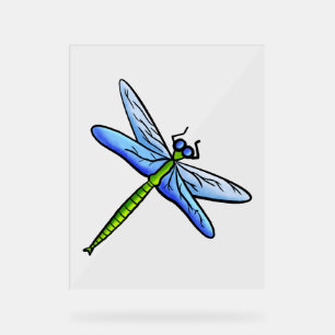 Colorful dragonfly on a branch acrylic sign