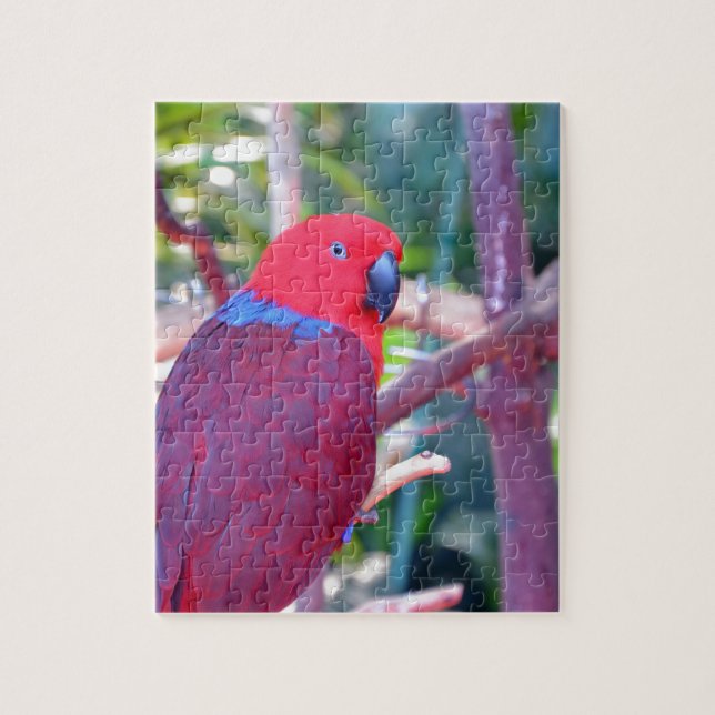 Colorful eclectus parrot jigsaw puzzle (Vertical)
