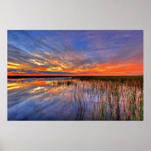 Colorful Everglades, Florida, Poster