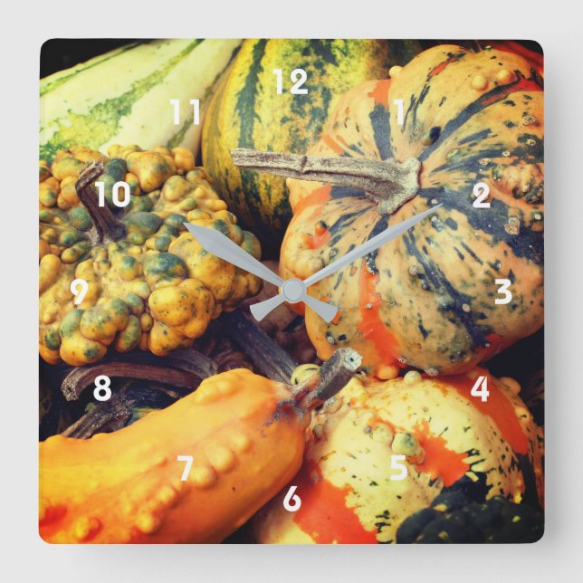 Colorful Fancy Gourds Close Up  Square Wall Clock (Front)