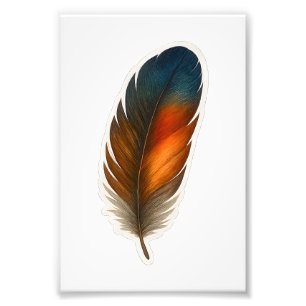 Colorful Feather Design Photo Print