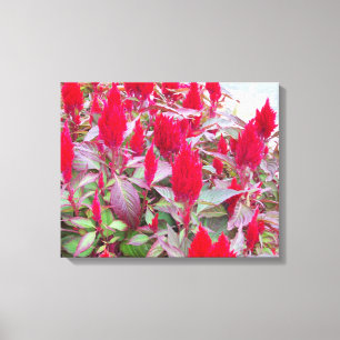 COLORFUL FLORA #2 CANVAS PRINT