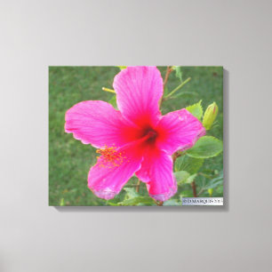 COLORFUL FLORA #5 CANVAS PRINT