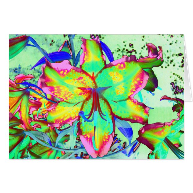 Colorful floral green pink lily tropical flowers (Front Horizontal)
