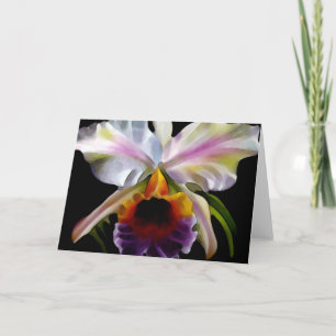 Colorful Floral Greeting Cards