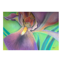 Colorful Floral Poster | Modern Botanical Print