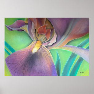 Colorful Floral Poster   Modern Botanical Print