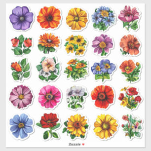 Colorful Flower Collection