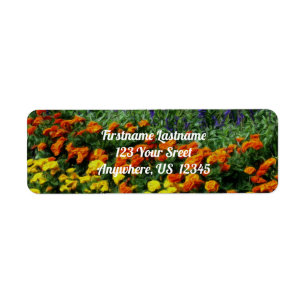 Colorful Flower Garden Huile Photo Peinture Adress