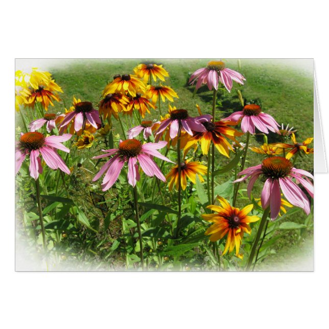 Colorful Flowers (Front Horizontal)