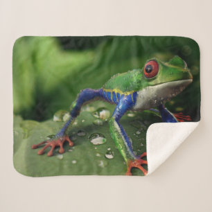 COLORFUL FROG SHERPA BLANKET