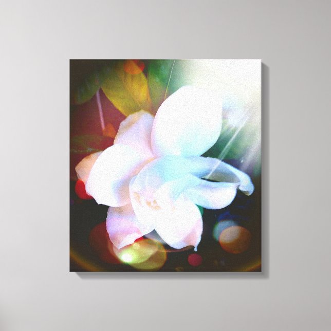 Colorful Gardenia Floral Digital Art Canvas Print (Front)
