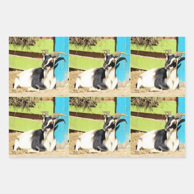 Colorful Goat Wrapping Sheets (Front)