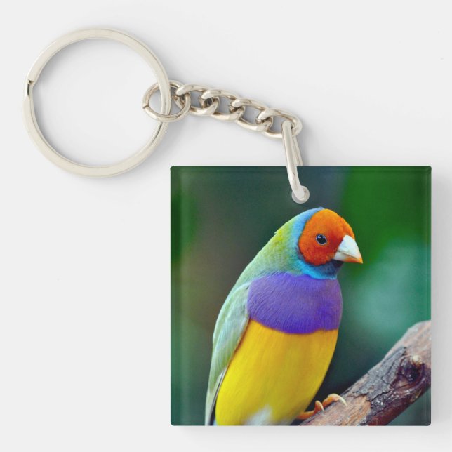Colorful gouldian finch keychain (Front)