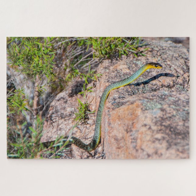 Colorful green tree snake Australia, 1014 pieces Jigsaw Puzzle (Horizontal)