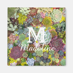 Colorful Greenery Succulents Magnet