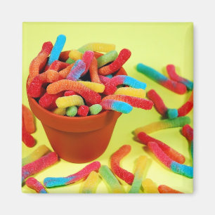 Colorful gummy worm candy magnet