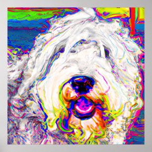 Colorful Happy Fluffy Vieux anglais Poster de chie